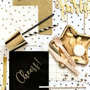 Party program