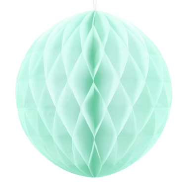 Honeycomb mint - 20cm