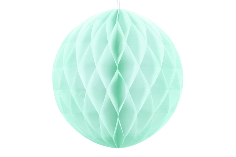 Honeycomb mint - 20cm