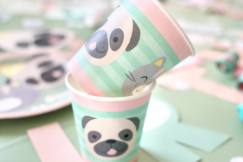 case hello pets uzivo