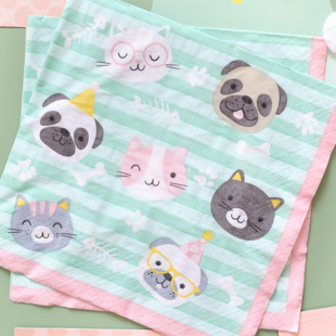salvete hello pets uzivo