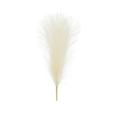 Pampas Krem - 45cm