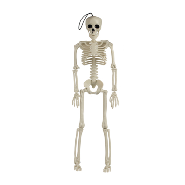 Viseća dekoracija Skeleton - 40cm