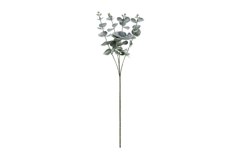 Eukaliptus dekoracija - 60cm