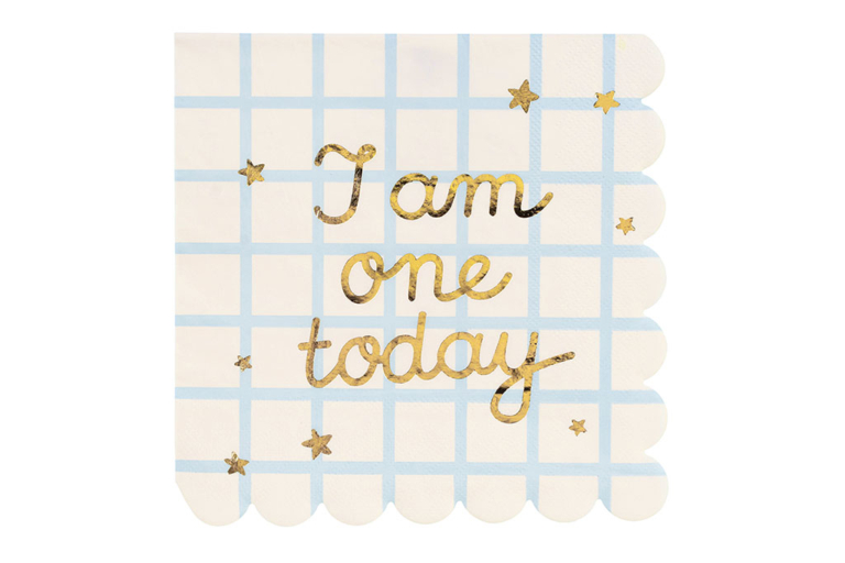 Salvete I am one today 33cm - 12 kom