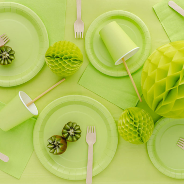 Plastični stolnjak - Kivi zeleni